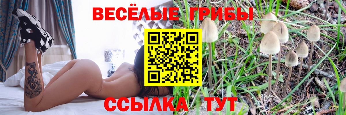 Псилоцибиновые грибы мухоморы Богданович