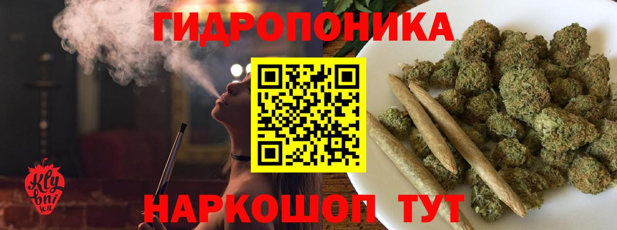 Шишки марихуана планчик Богданович